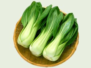 富含硒的蔬菜有哪些 圖