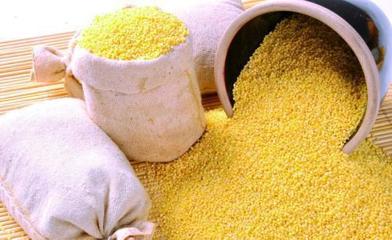 黑龍江這15種優(yōu)勢(shì)食用農(nóng)產(chǎn)品、食品抽檢達(dá)“國(guó)標(biāo)”