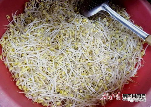 康樂人你買過嗎 甘肅這16批次食品抽檢不合格