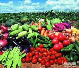 東莞工廠蔬菜配送 飯?zhí)贸邪?農(nóng)產(chǎn)品糧油 送菜公司