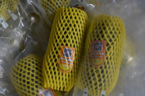 全市農(nóng)產(chǎn)品質(zhì)量安全暨食用農(nóng)產(chǎn)品合格證推進現(xiàn)場會在桃園鎮(zhèn)召開