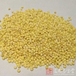 湖南推動食品安全信用評價與行業(yè)準入掛鉤