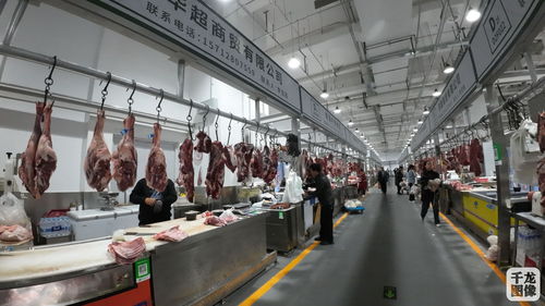八里橋市場商戶入駐 新家 北京鮮活農(nóng)產(chǎn)品流通中心再添新活力