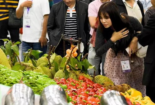 攜手共建 菜籃子 德陽海南將實現(xiàn) 互補式 供菜