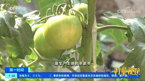 速看 農(nóng)業(yè)農(nóng)村部 全面推進食用農(nóng)產(chǎn)品合格證制度