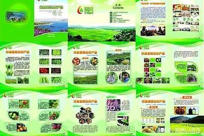 食用農(nóng)產(chǎn)品與初級(jí)農(nóng)產(chǎn)品和農(nóng)產(chǎn)品初加工的類(lèi)別范圍及區(qū)別