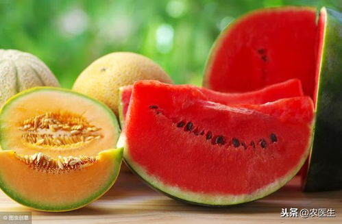 西瓜 甜瓜質量安全水平如何 能安全食用嗎
