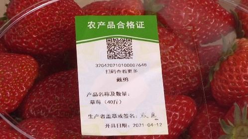 鄉(xiāng)村振興 江蘇常州 以 品質 出 品牌 信息化助力打響農產(chǎn)品品牌 常 字號