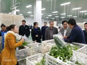 保障食品安全 從配送公司入手