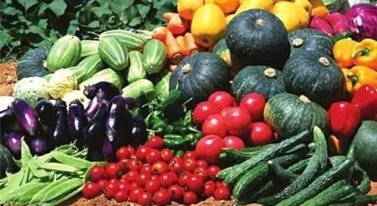 【農(nóng)業(yè)科普小知識(shí)】食用農(nóng)產(chǎn)品合格證是什么?
