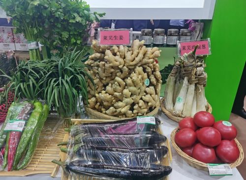 濟(jì)南市40余個(gè)優(yōu)質(zhì)產(chǎn)品亮相第二十二屆綠博會(huì)