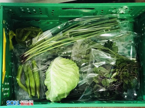 樂山啟動(dòng)食用農(nóng)產(chǎn)品合格證制度試點(diǎn) 800噸農(nóng)產(chǎn)品用上新名片