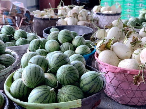 蘇州市首張食用農(nóng)產(chǎn)品電子合格證在常熟啟用