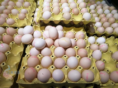 云南全面試行食用農(nóng)產(chǎn)品合格證制度 涉及蔬菜 水果 畜禽等產(chǎn)品