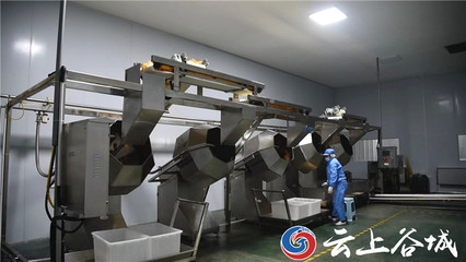 谷城石花鎮(zhèn):培育壯大特色農(nóng)產(chǎn)品深加工 推動農(nóng)業(yè)產(chǎn)業(yè)鏈做大做強(qiáng)