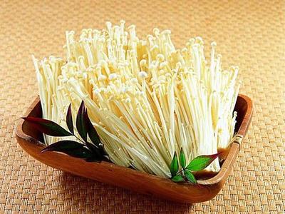 “金針菇王”的致富路