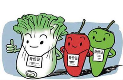 農(nóng)業(yè)農(nóng)村部:食用農(nóng)產(chǎn)品合格證制度全國推廣 看6大試點(diǎn)省怎么做!