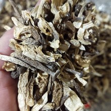 陜西商洛香菇