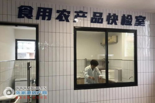 2020年政府實事工程 暨陽菜場標(biāo)準(zhǔn)化改造項目經(jīng)過為期3個多月的緊張施工,9月18日華麗變身