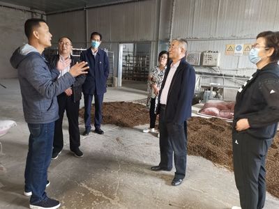 九三學(xué)社武威市委員會開展武威市食用菌產(chǎn)業(yè)發(fā)展情況調(diào)研