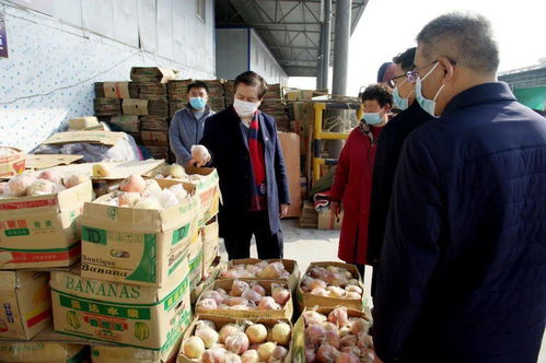 柳金鐘書記到襄都區(qū)實地檢查食用農(nóng)產(chǎn)品市場銷售信息追溯系統(tǒng)建設(shè)工作