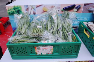 30多種綠色農(nóng)產(chǎn)品來到普陀,可別錯過哦