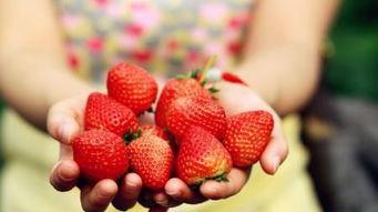 浙江全面啟用食用農(nóng)產(chǎn)品合格證，浙產(chǎn)農(nóng)產(chǎn)品放心吃